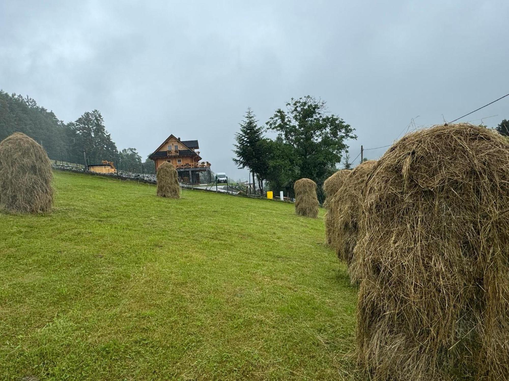 Chata Trzy Wierchy Wisla Exterior photo